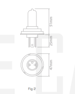 Ionnic 64198 Globe Halogen H4 12V 60/55W P43t-38