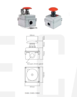 Ionnic CHS3 Switch Kit Push Momentary (N/O & N/C)